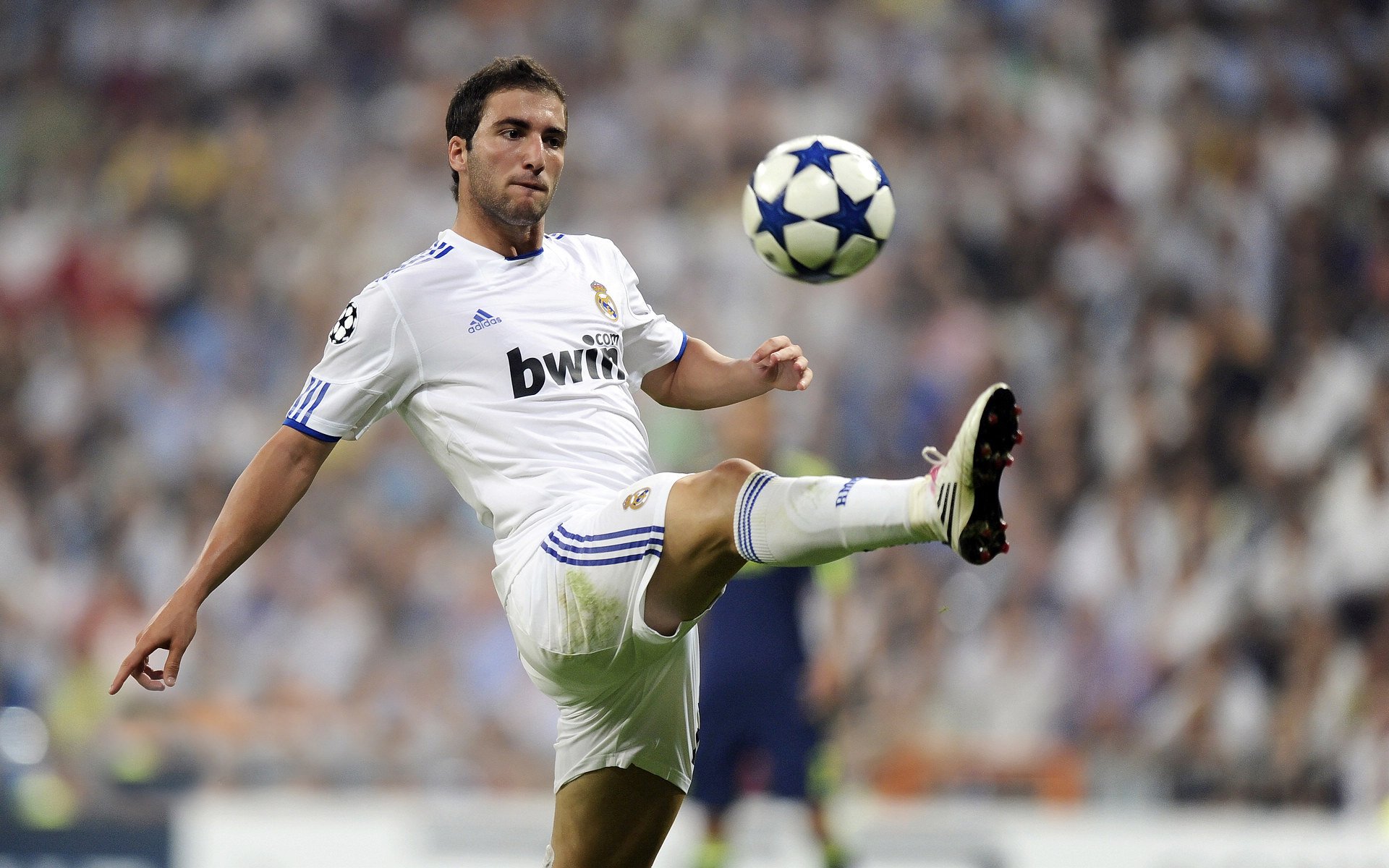 欧冠决赛焦点战，猛龙争冠战胜出公牛，跨越大陆的胜利交响