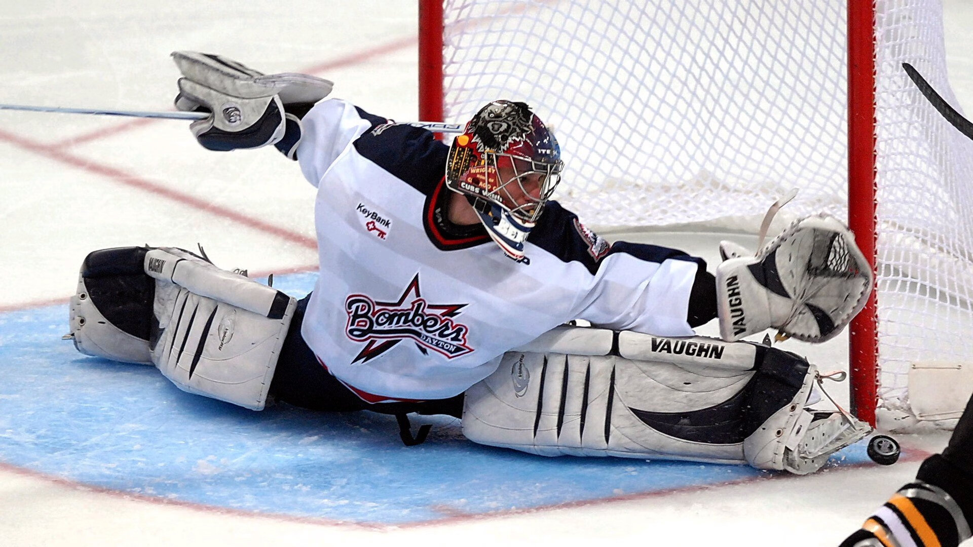 灰熊逆转辽宁队，福克斯关键战不手软